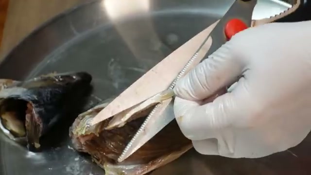 가위로 고등어 지느러미를 잘라내는 장면