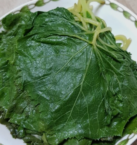 머위효능