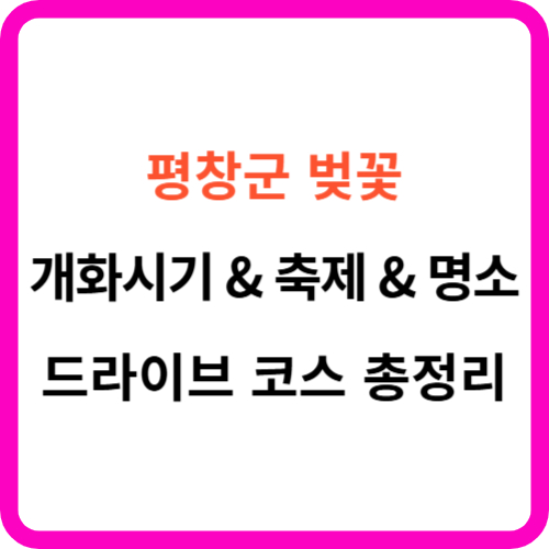 평창 벚꽃 개화시기 축제 명소 드라이브 코스 총정리 썸네일