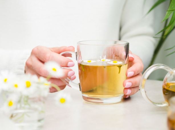 물 vs 공복차 효능 비교 (장활력, 대사)