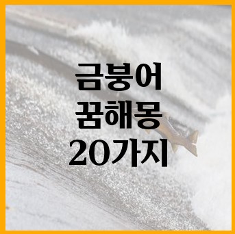 금붕어-꿈해몽