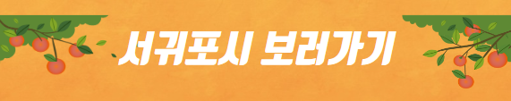 봄에 떠나기 좋은 여행지