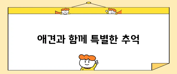 강원도 여행의 즐거움, 애견과 함께하는 춘천 호텔 헤이 춘천 펫룸에서 만끽하세요!