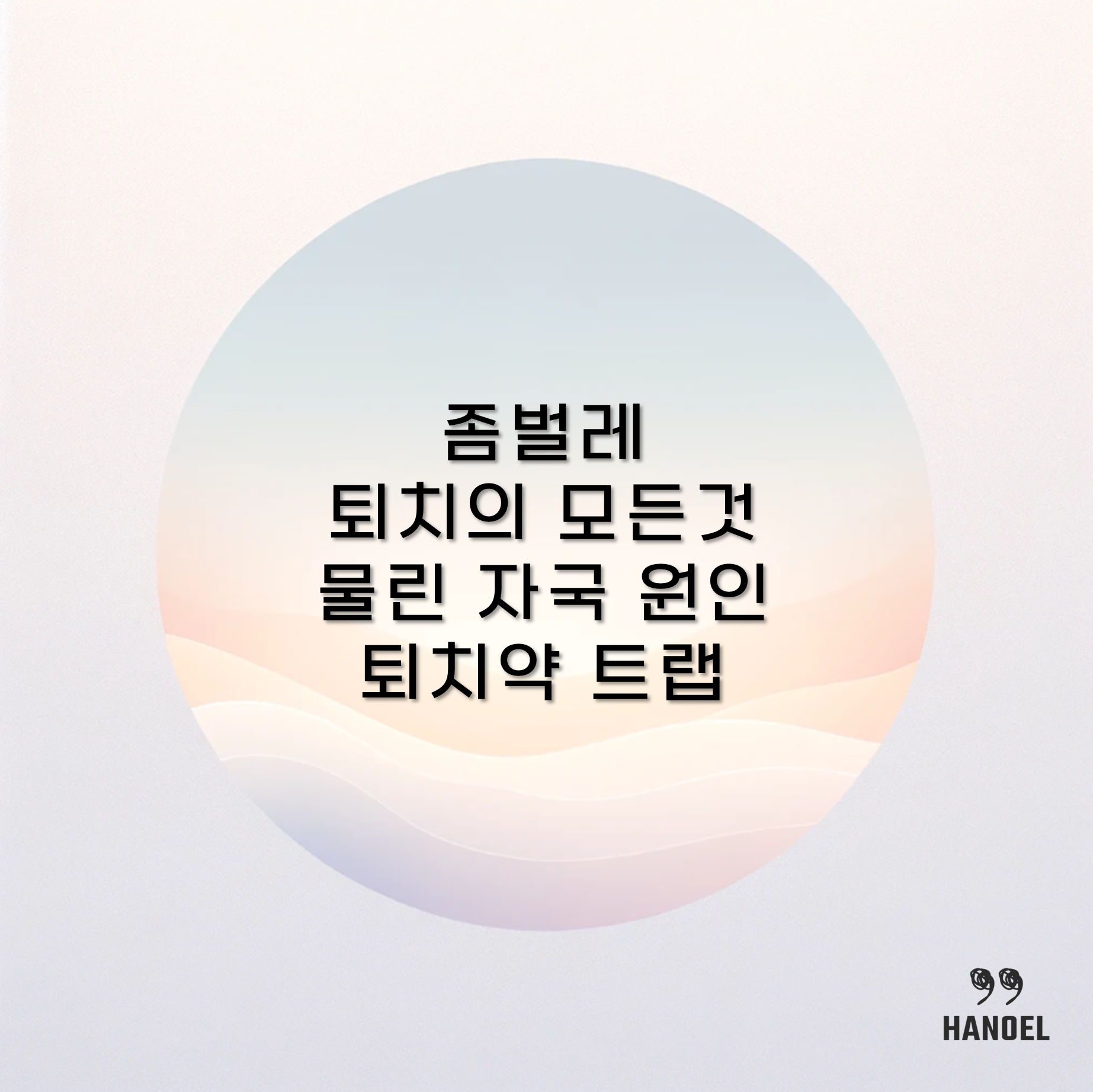 좀벌레 퇴치의 모든것 물린 자국 원인 퇴치약 트랩