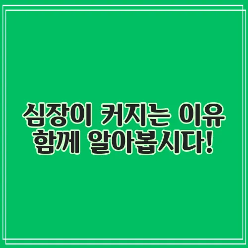 심장이 커지는 이유 함께 알아봅시다!