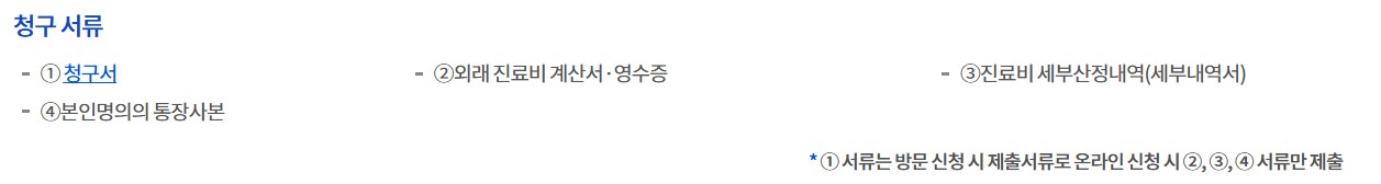 임신사전 건강관리 지원: 청구 서류