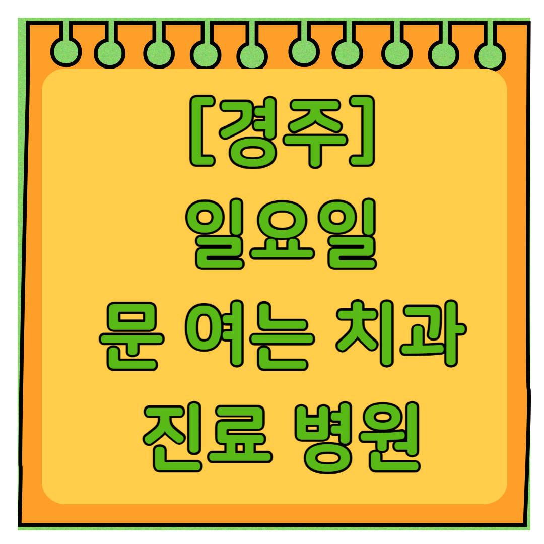 경주 일요일 문 여는 치과 리스트 ❘ 토요일 주말 공휴일 야간진료 치과의원 바로찾기