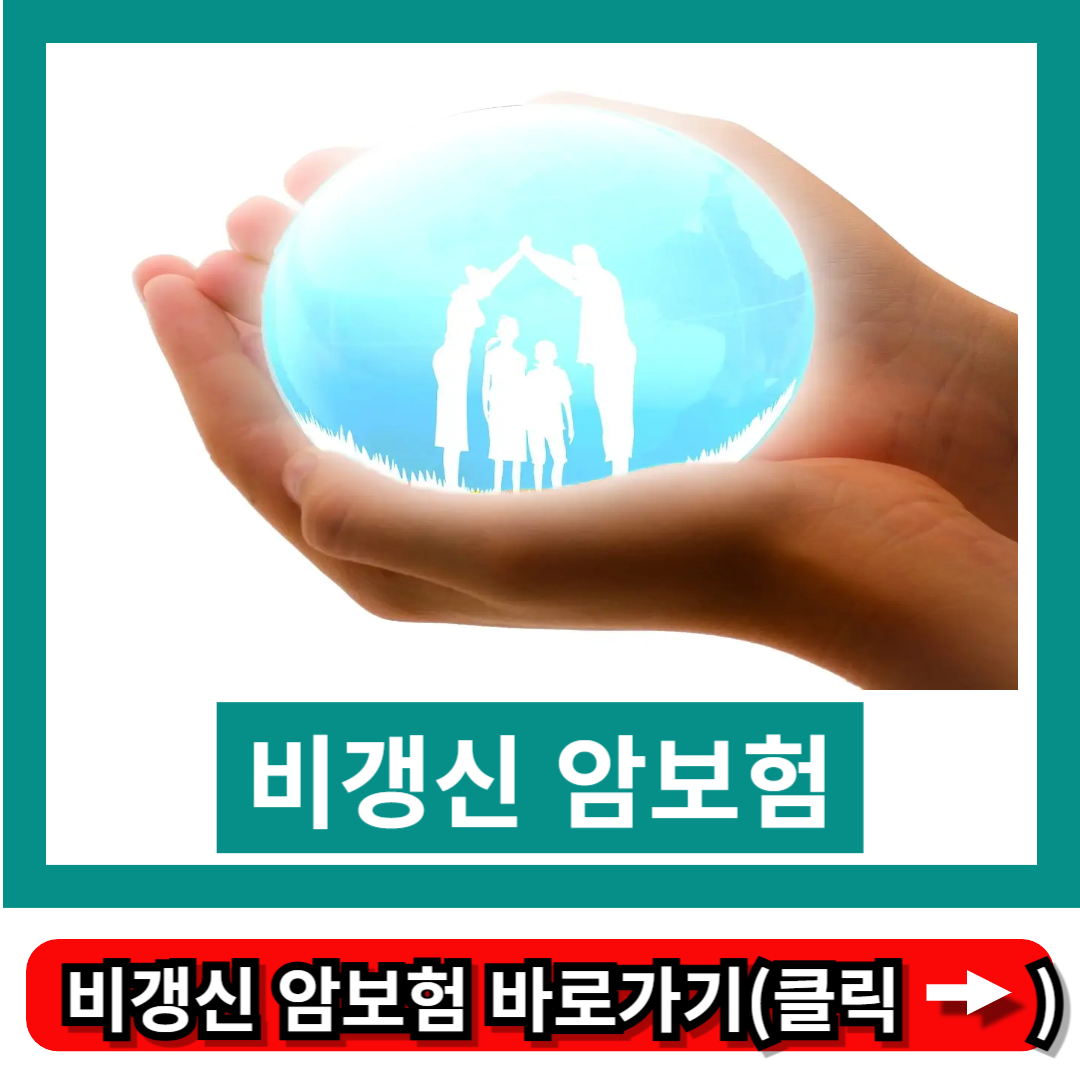 비갱신 암보험