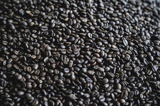 검은 콩, 서리태 기르기! 영양성분/건강이점/심는시기/수확시기/활용음식