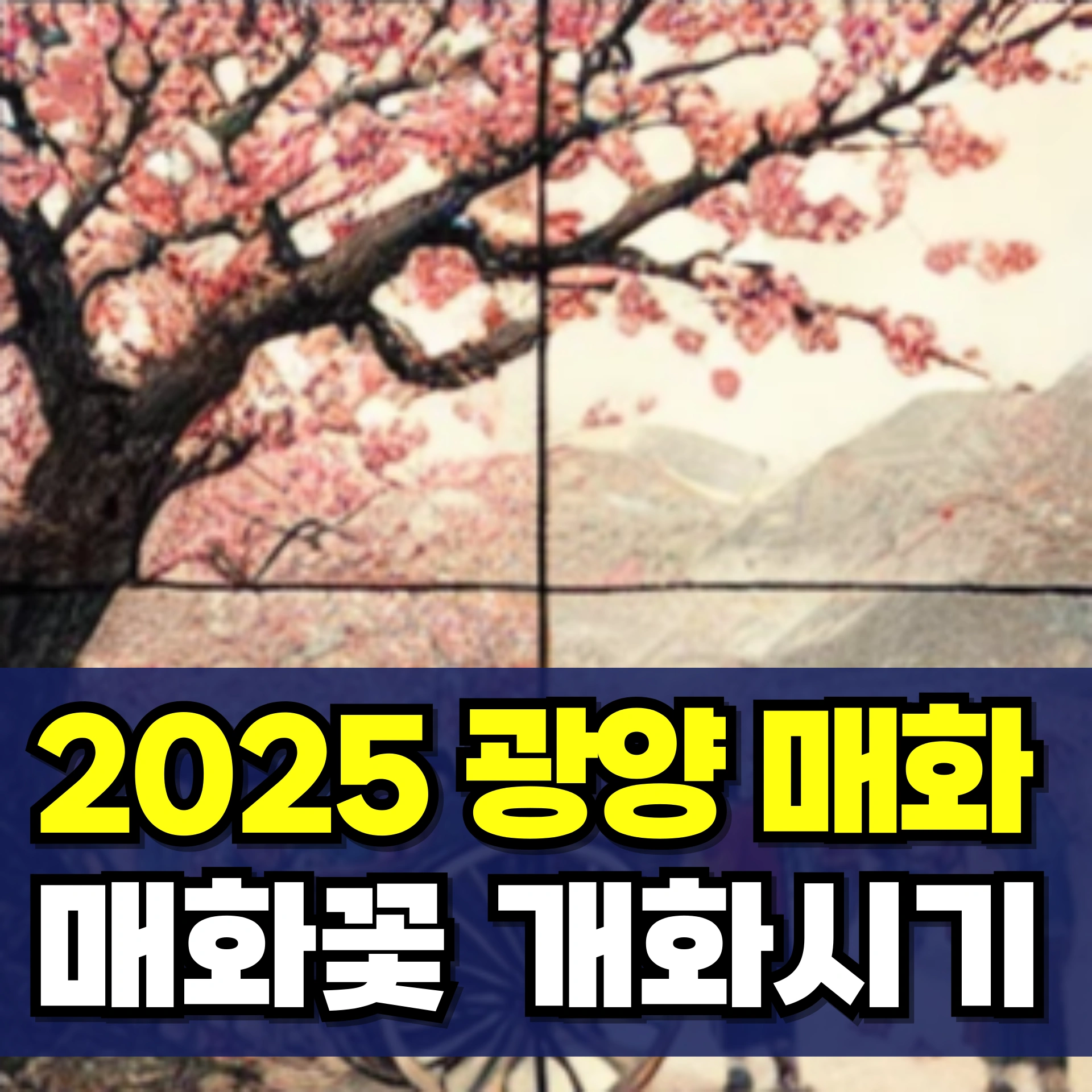 광양-매화-개화시기-매화꽃-개화시기