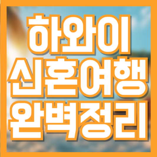 하와이 신혼여행 가이드 경비 관광 완벽정리!