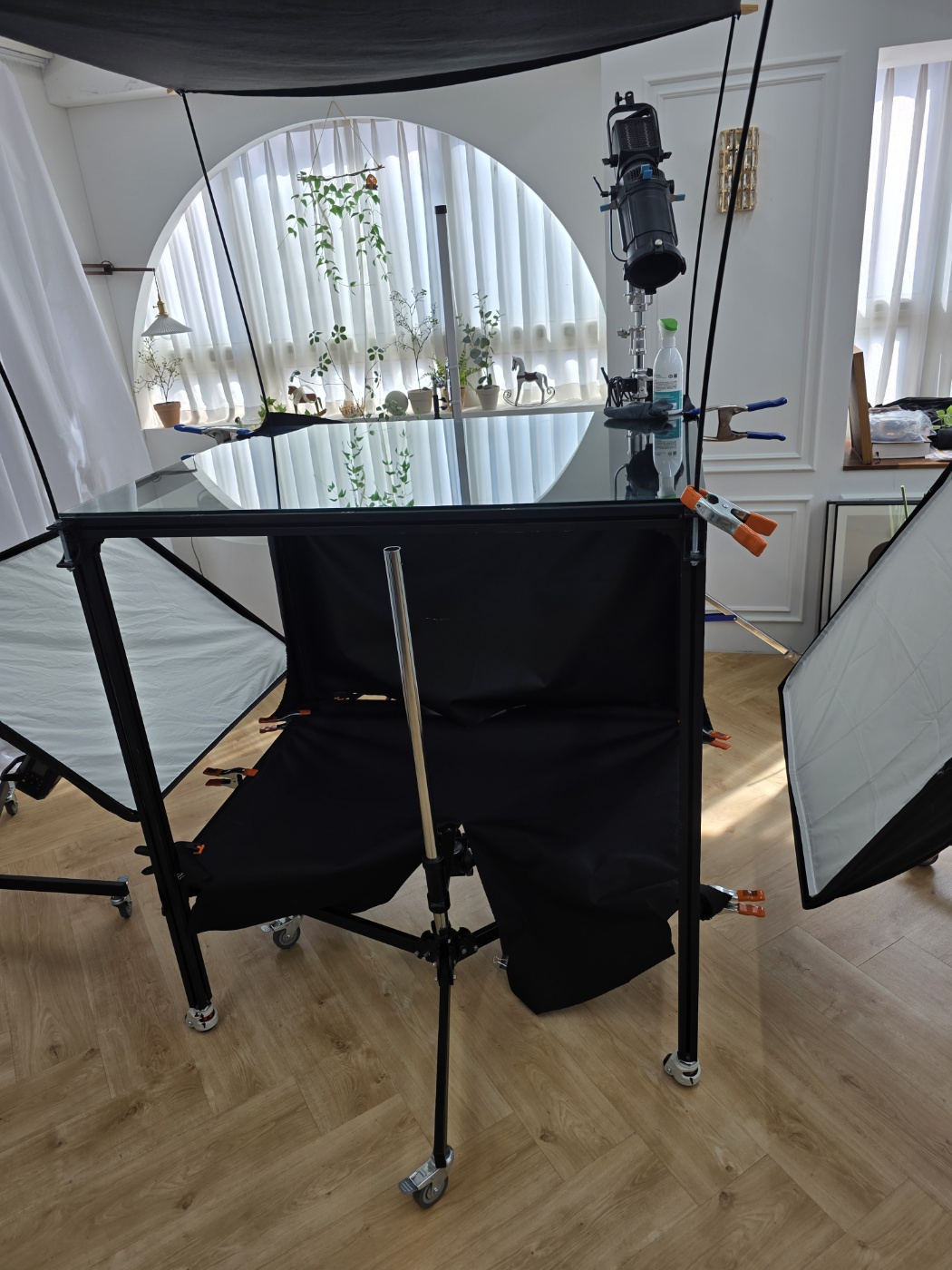 반려견 발바닥 사진 후기