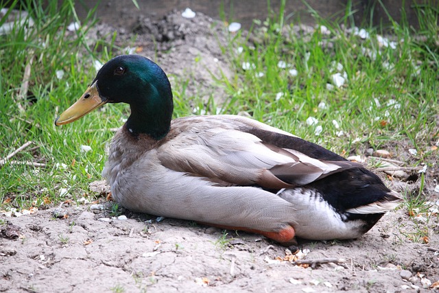 서울시 운동비 지원