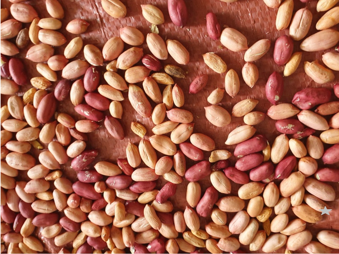 밭에서 나는 우유? 땅콩 효능 5가지와 하루 권장량 정리