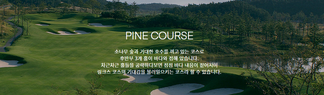 바다가 어우러진 해남 '파인비치cc 골프장' 소개