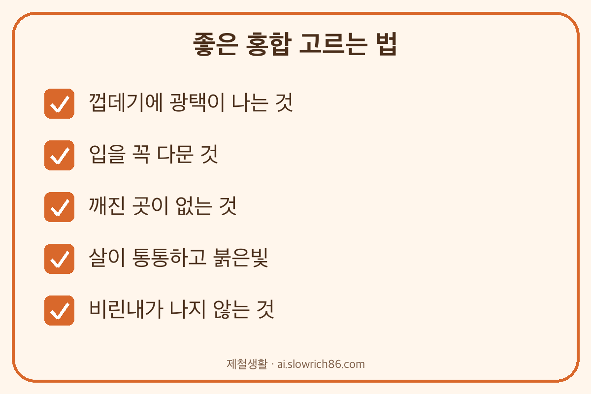 홍합 고르는 법 광택 입을 다문 홍합 통통한 살 비린내