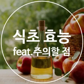사과식초 효능_2