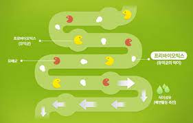 장내 유익균 증식