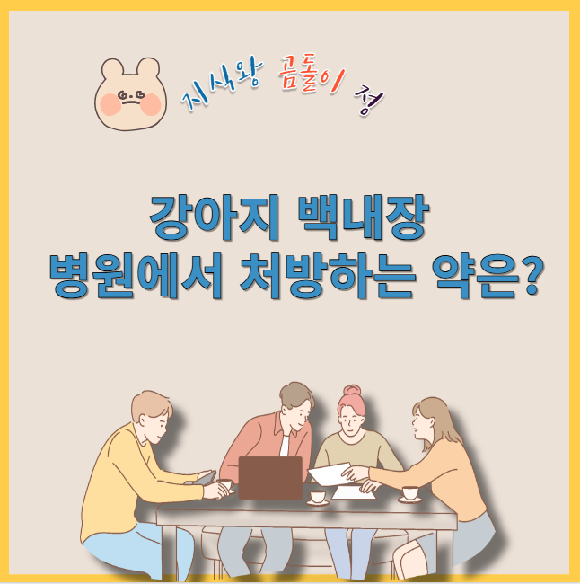 강아지 백내장 병원에서 처방하는 약은?