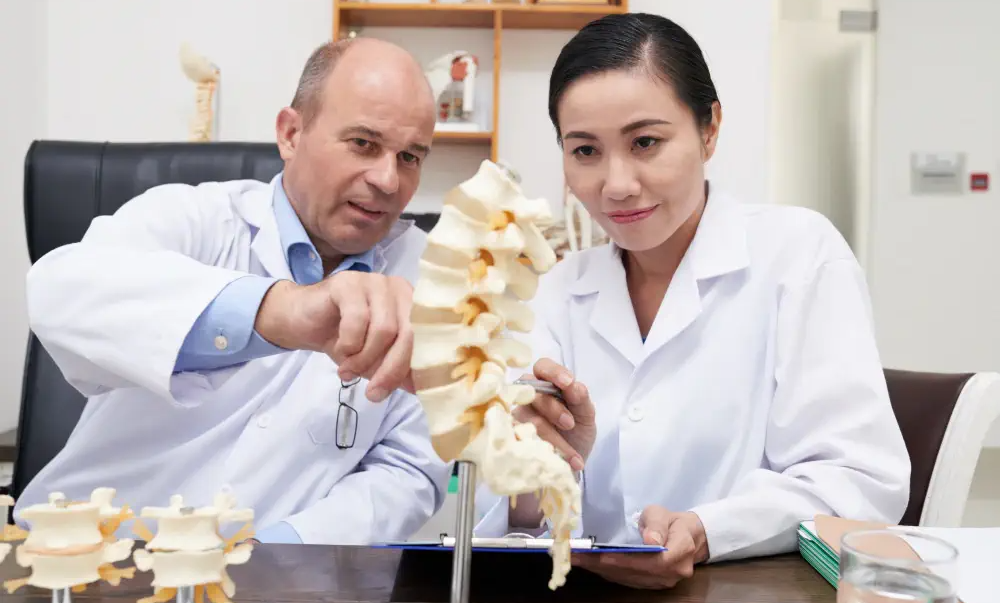 비타민 K와 뼈 건강 유지 효과