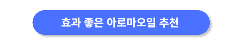 버튼