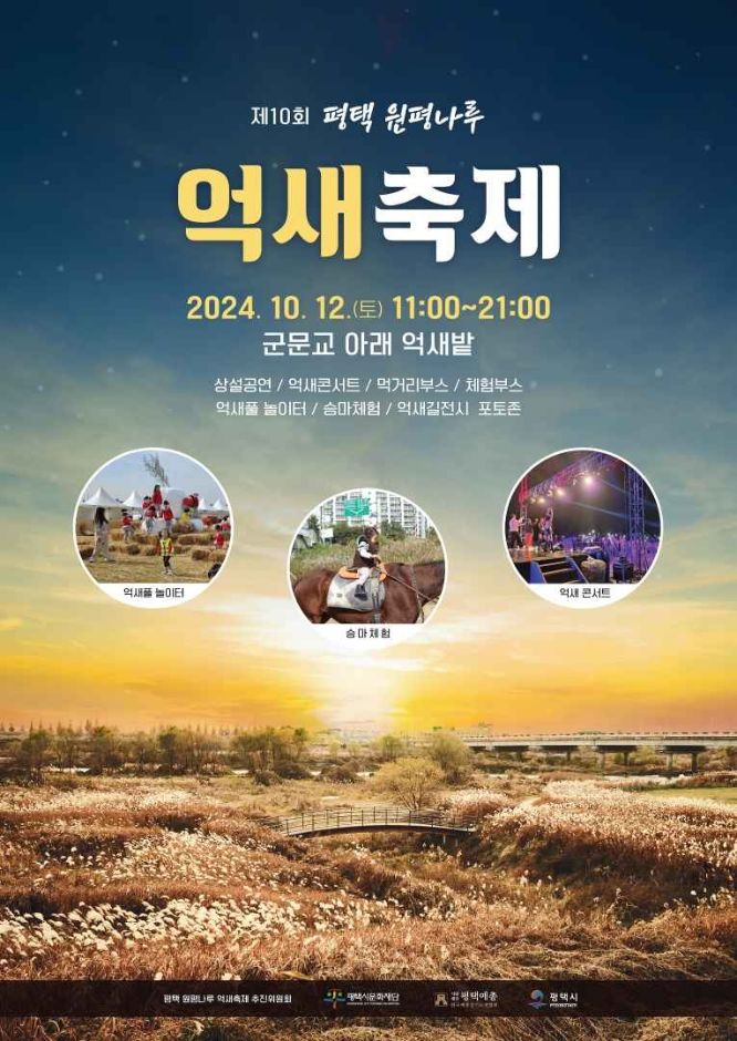 평택 원평나루 억새 축제
