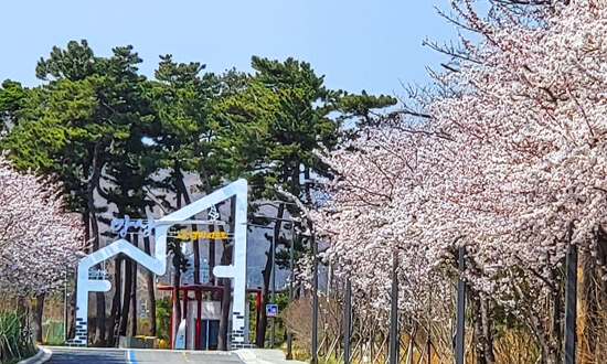 망상오토캠핑리조트-01