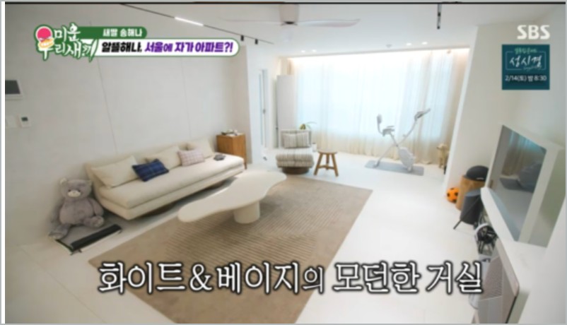 송해나 아파트 자가 마련! 미우새 속 내집마련 비결