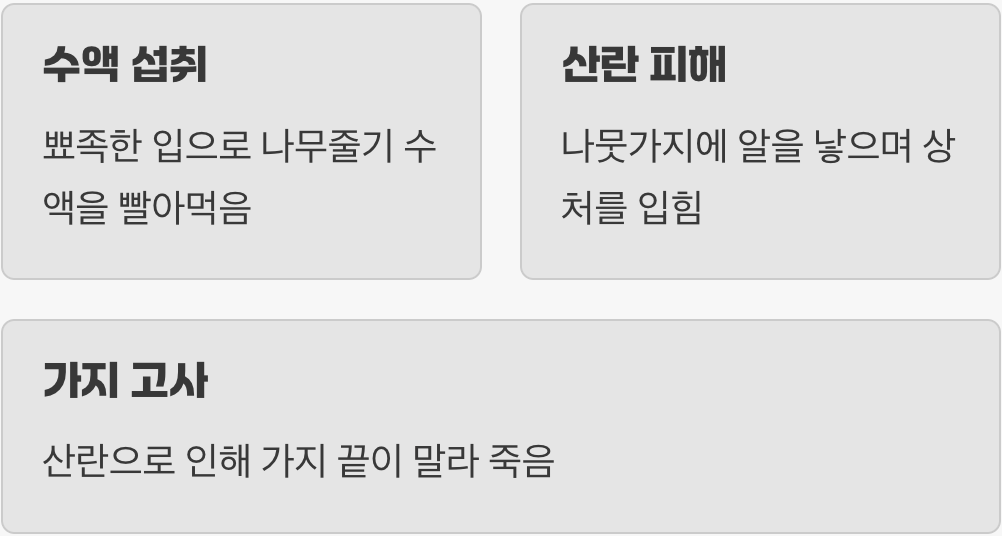 나무에게는 성가신 손님