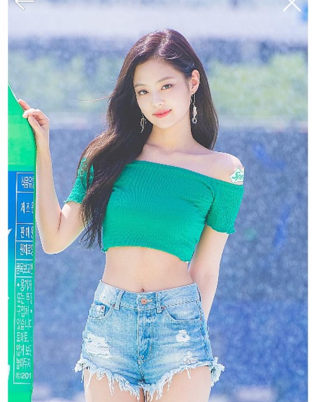 시서스 다이어트