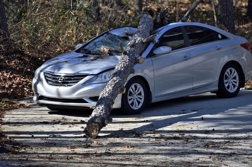 차량 사고로 나무 밑에 깔린 차량