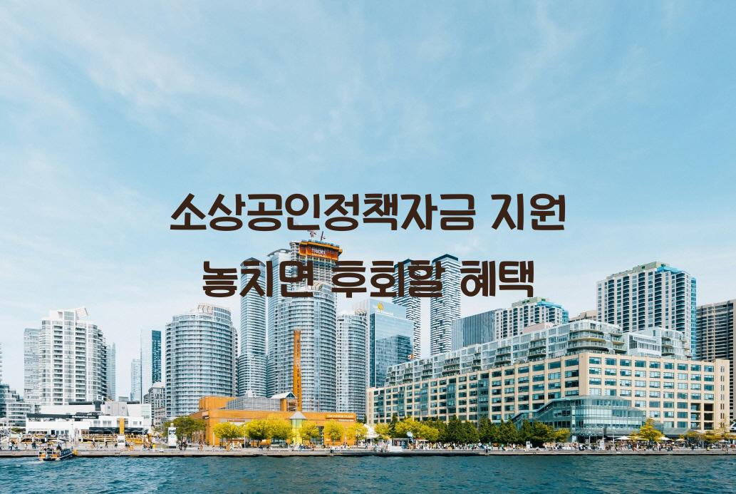 소상공인정책자금