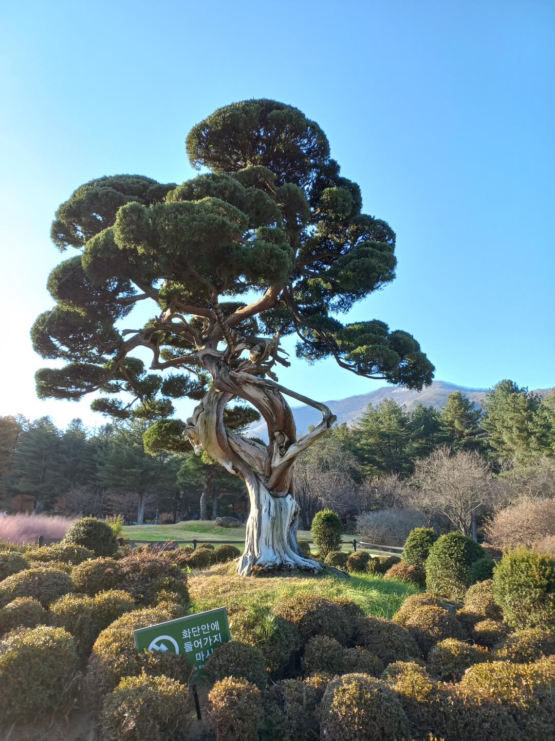 가평 오색별빛축제