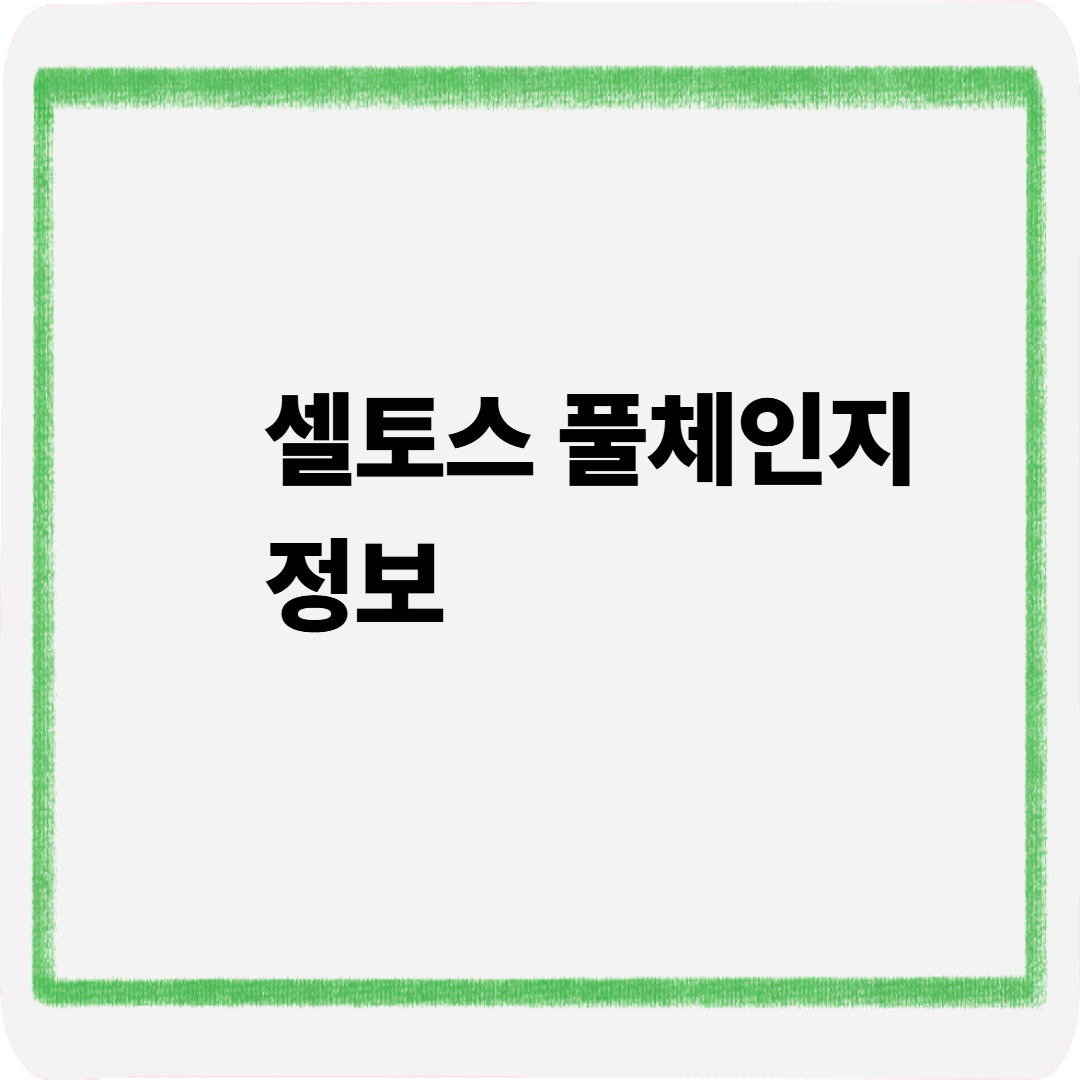 셀토스 풀체인지 정보