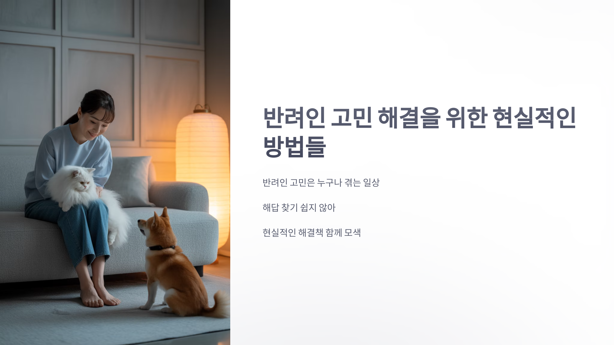 참조-반려인-고민-1