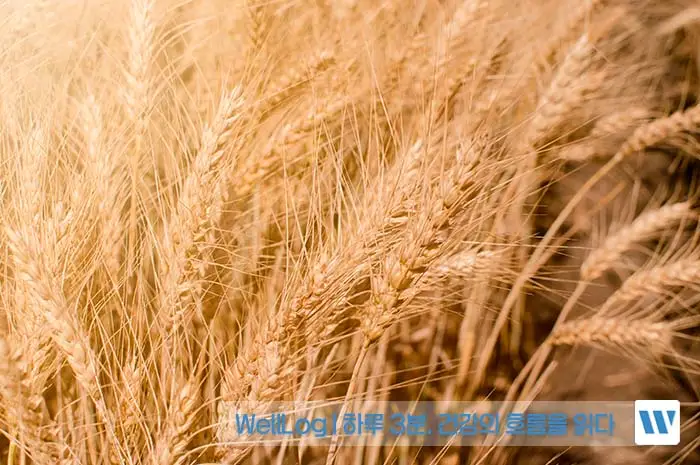 카무트 효소 효능, 먹는법