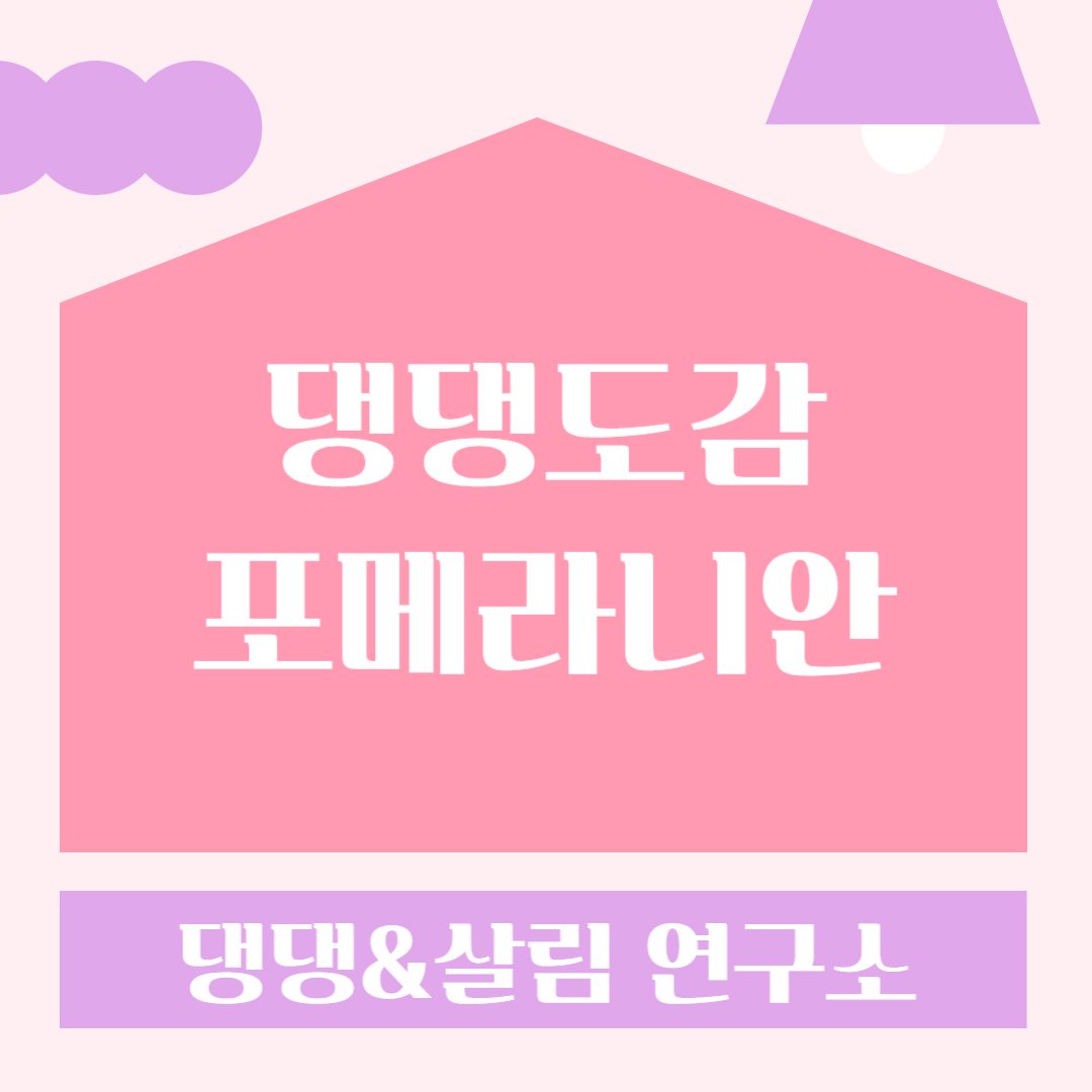 반려견 포메라니안