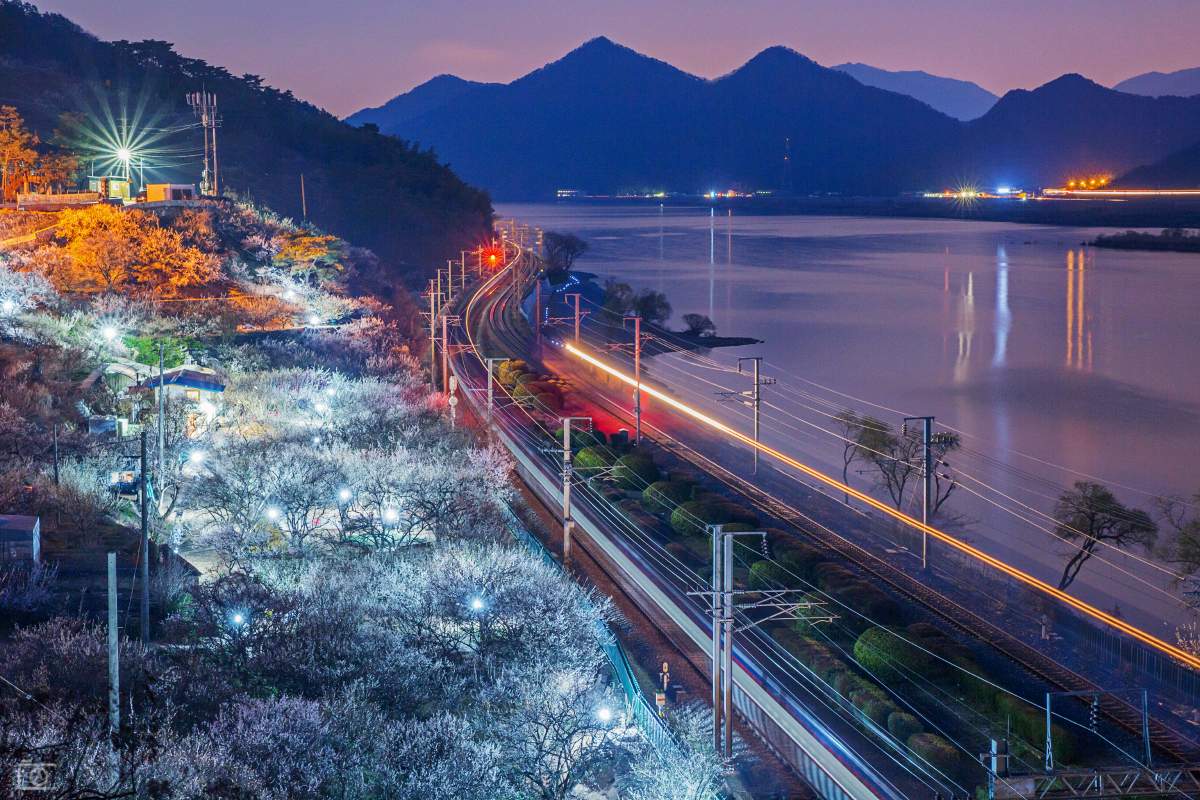 양산 가볼만한곳 - 순매원