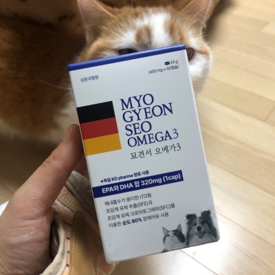 고양이오메가3