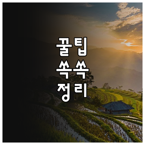 일터혁신 컨설팅 2025 생산성 향상..