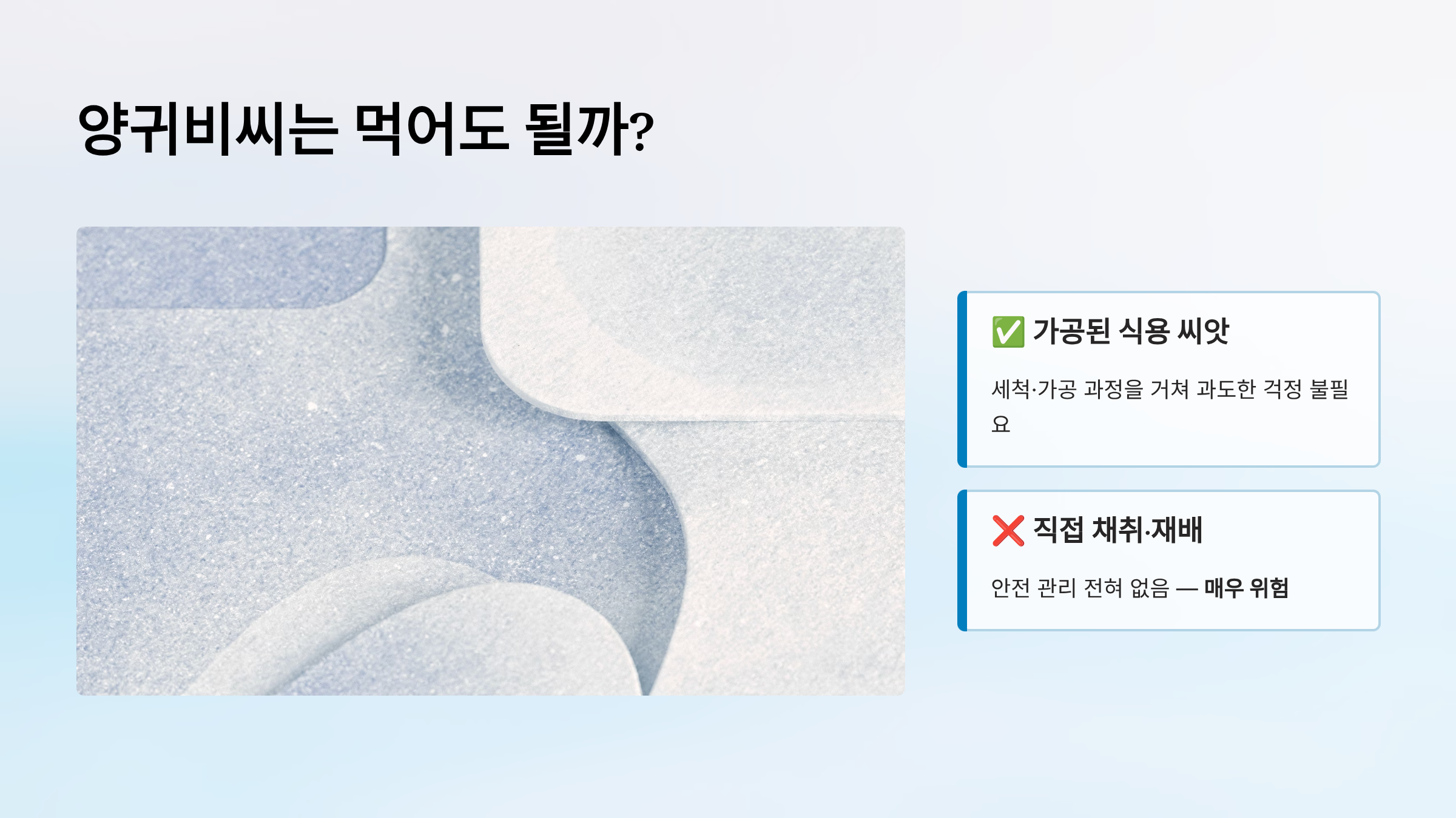 양귀비 효능