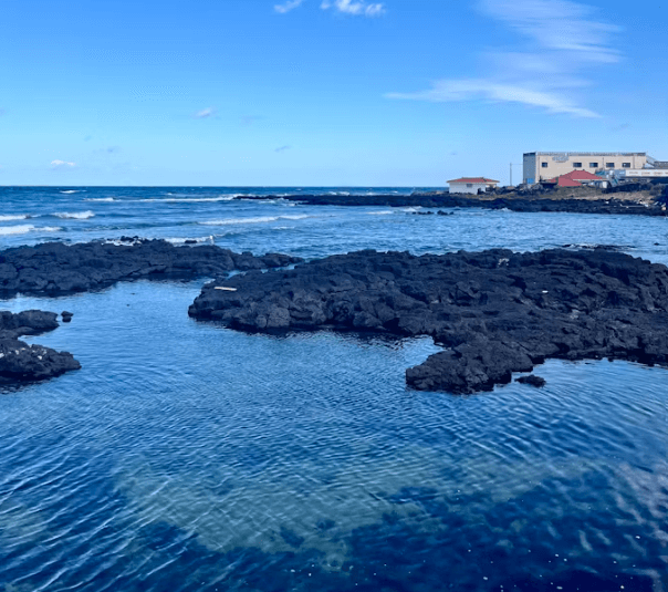 제주도 풀빌라 추천: 오션뷰부터 감성 숙소까지