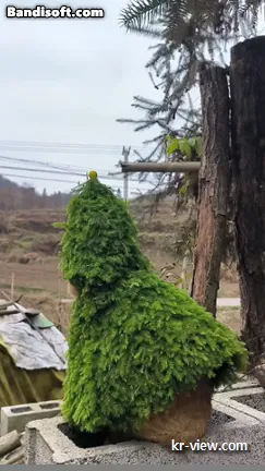 img.webp?credential=yqXZFxpELC7KVnFOS48ylbz2pIh7yKj8&expires=1767193199&allow_ip=&allow_referer=&signature=%2F4yQf1BW3B%2BgLzG4XCuGsI9tjcg%3D