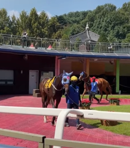 페스티벌 야간 풍경