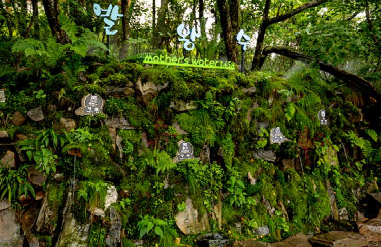 발왕산 케이블카