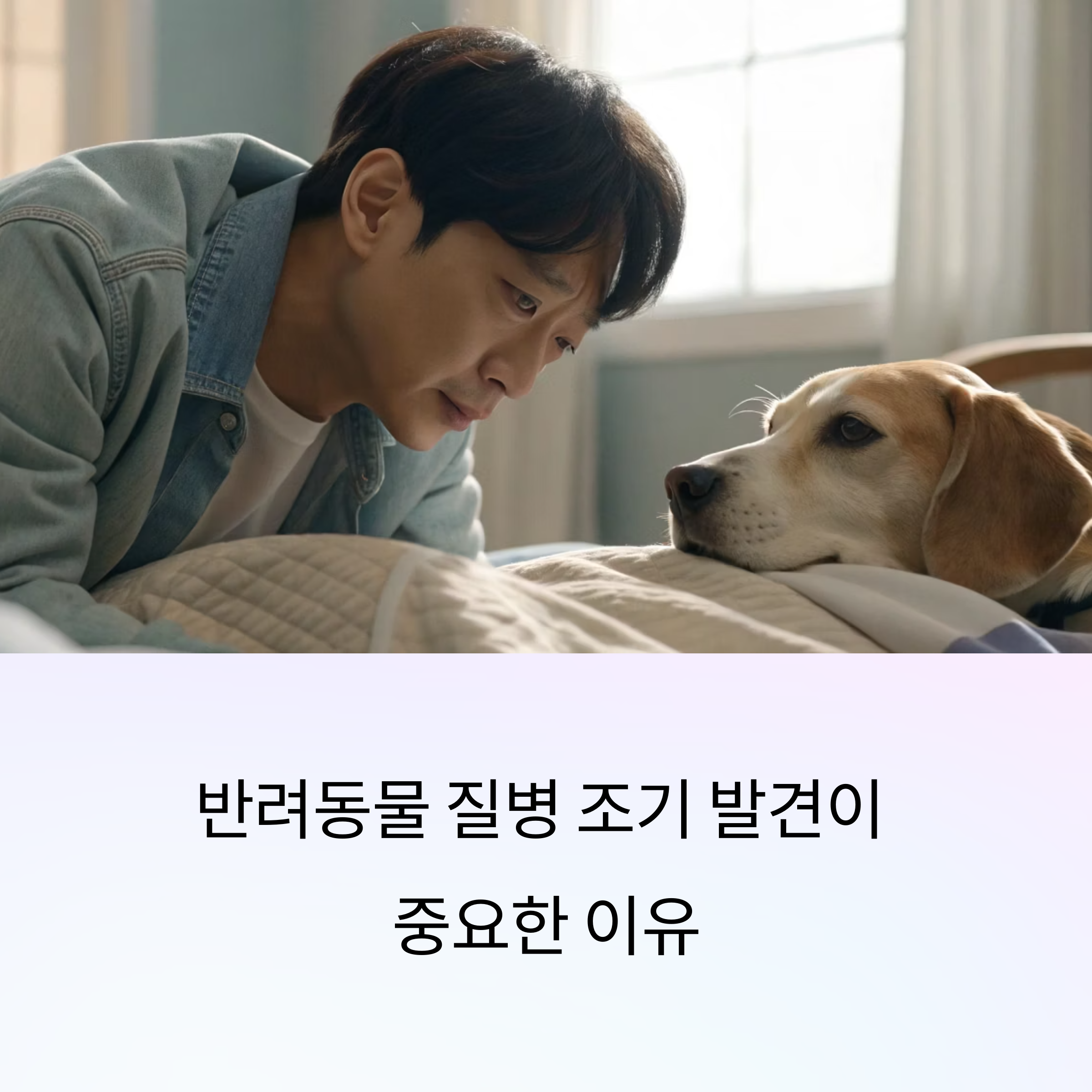 반려동물 질병 조기 발견