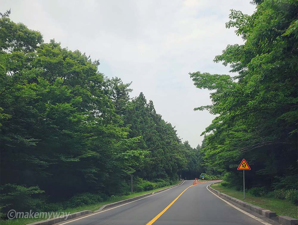 제주 힐링 추천 사려니숲길