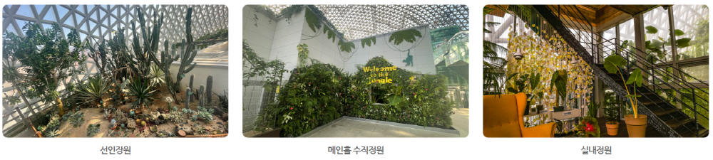 거제 정글돔