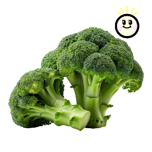 신장에 좋은 음식