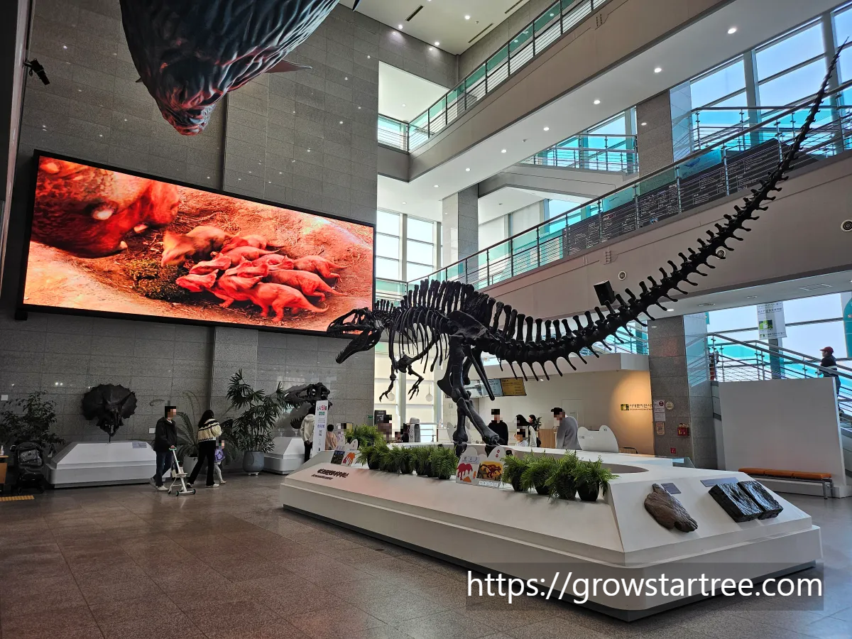 서대문자연사박물관 중앙홀